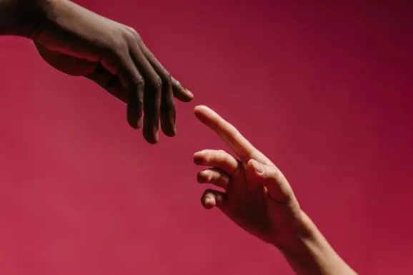 Cazino Red Kings Cazinou Suport